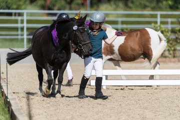Bild 180 - Pony Akademie Turnier